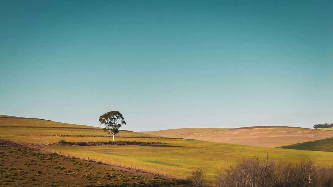 Como Funciona Usucapião Rural? Descubra Tudo Aqui!